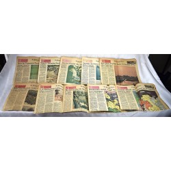 The Philadelphia Inquirer : The War in Vietnam : An Inquirer Special Report (March 6, 7, 8, 9, 13, 14, 15, 16, 17) (10 issues)